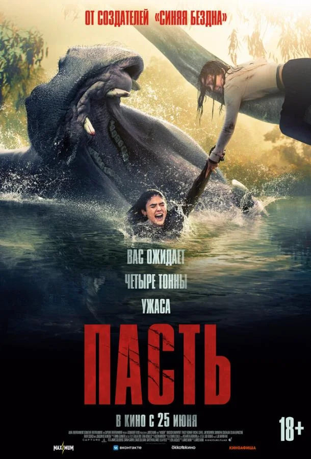 Пасть