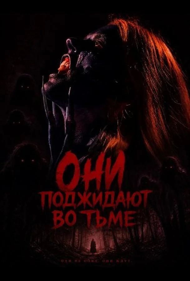 Они поджидают во тьме