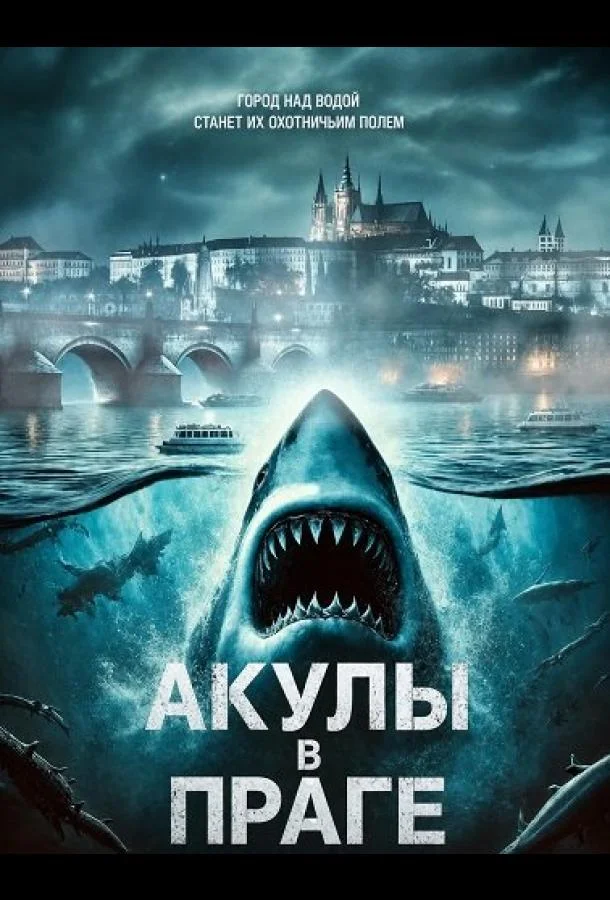 Акулы в Праге
