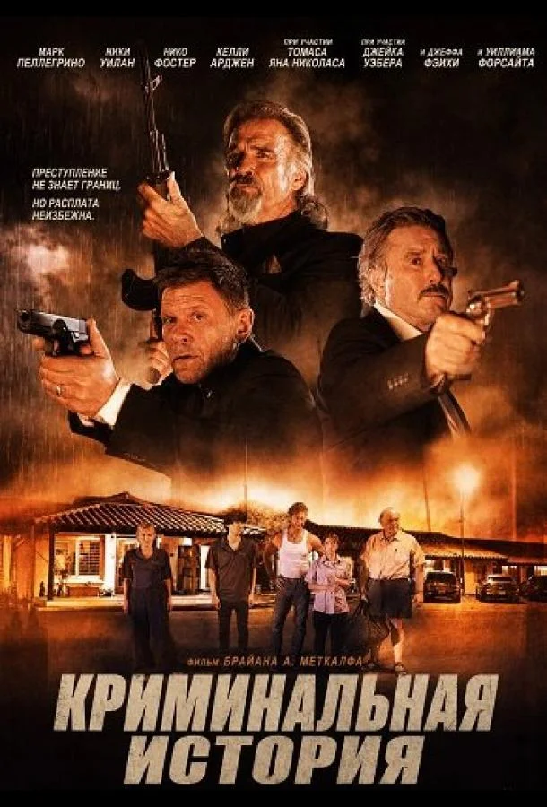 Криминальная история