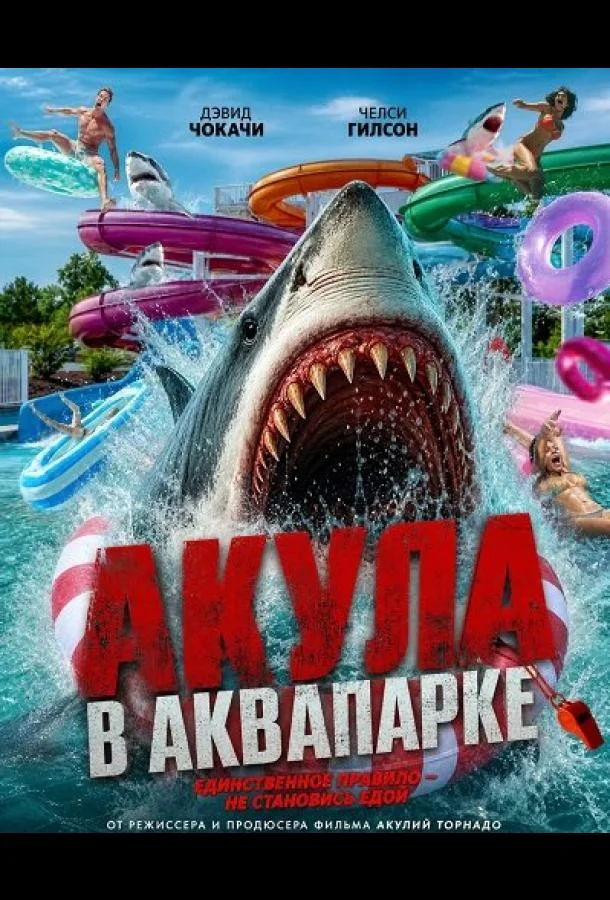 Акула в аквапарке